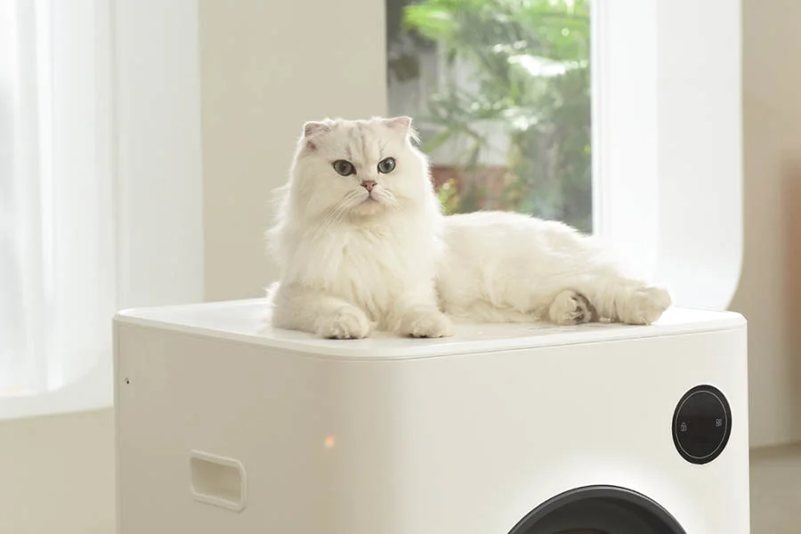 odorless cat litter box