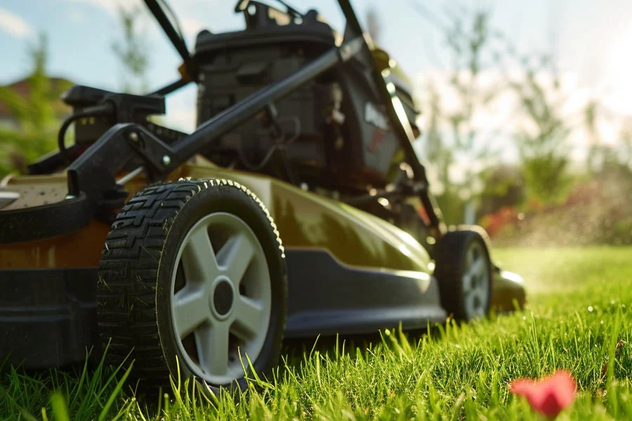 where to buy lawn mowers